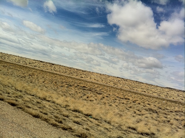 20110404-151009.jpg