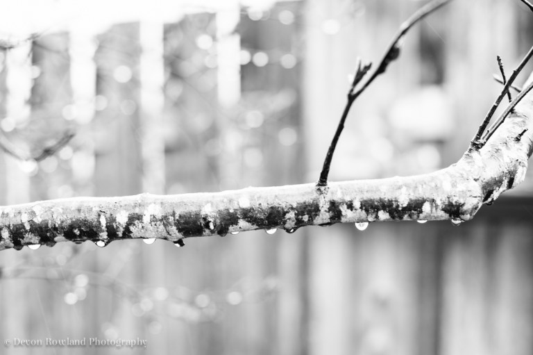 04.07_rainy_day_2014_Apr07_6474