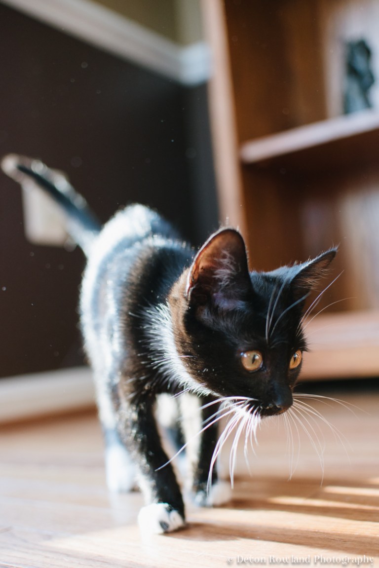 06.15_home_2014_Jun14_9544