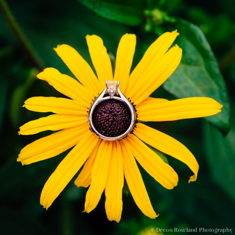 07.02_cb_engagement_2014_Jun22_0507