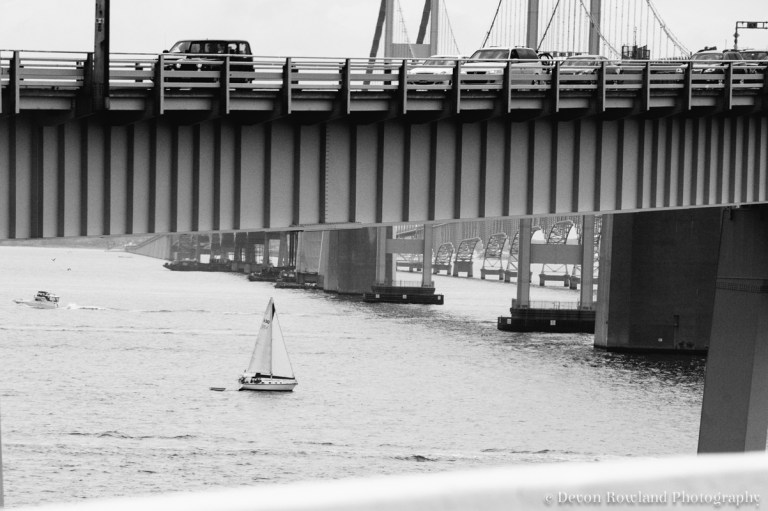 08.05_assateague_2014_Jul26_5900