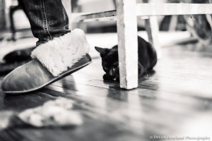 11.18_kitten_2014_Nov17_3177