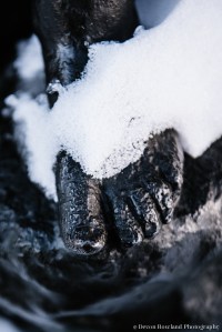 01.08_snowy_mt_vernon_2015_Jan08_7969