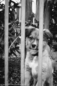 01.24_naptown_fujifilm_2015_Jan24_00188