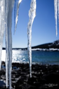 Devon Rowland Photography