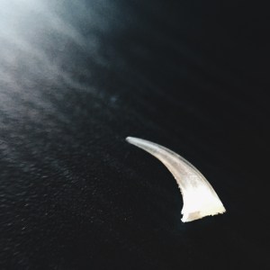 Processed with VSCOcam with hb2 preset