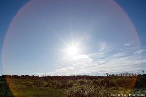 Devon Rowland Photography