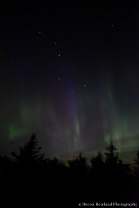 Aurora Borealis on Cadillac Mountain, Bar Harbor, ME - Devon Rowland Photography