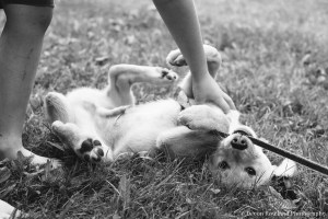 4th of July Weekend in Virginia, Devon Rowland Photography