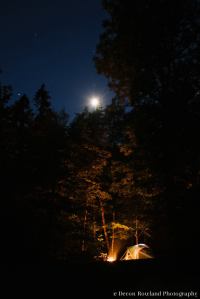 11823128_1034580029893357_8069133384945645449_o