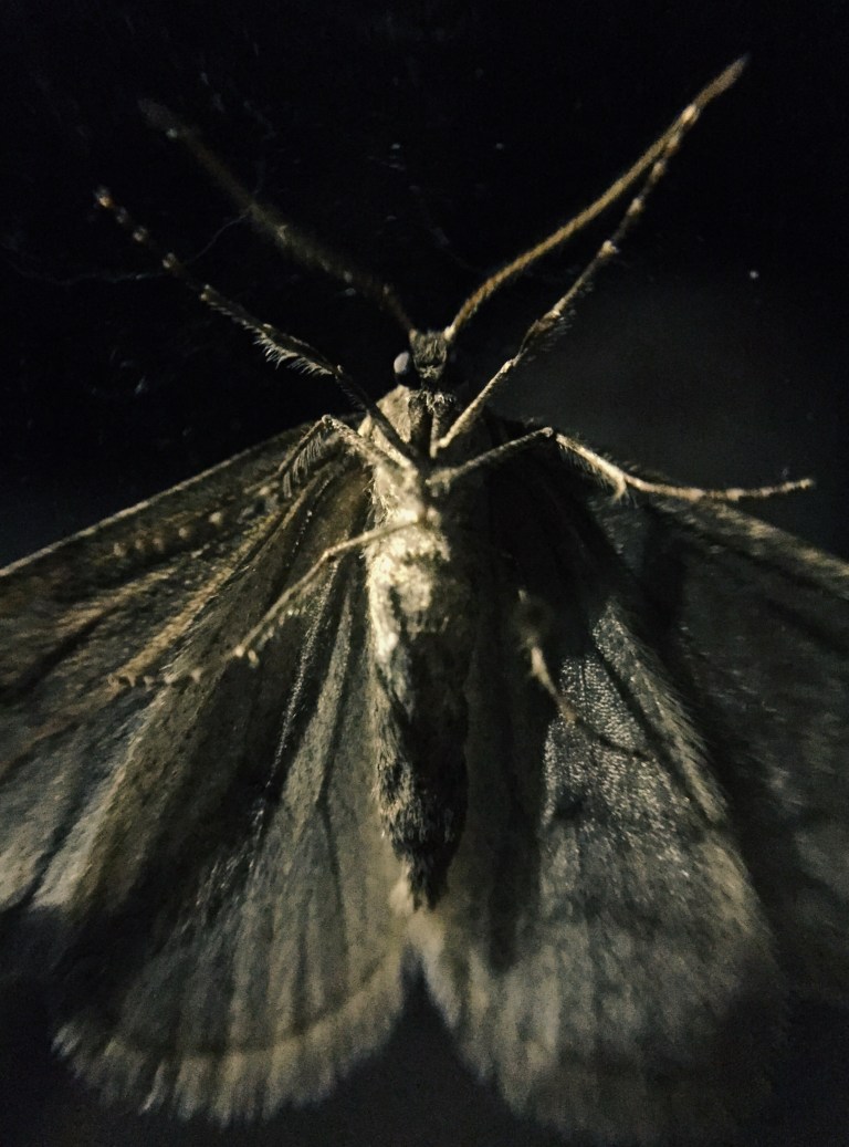 Processed with VSCOcam with g1 preset