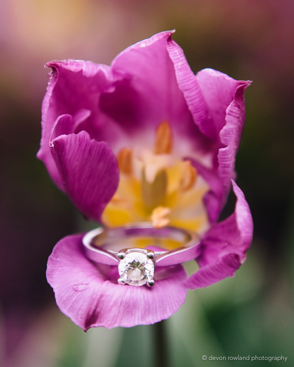 Devon Rowland Photography