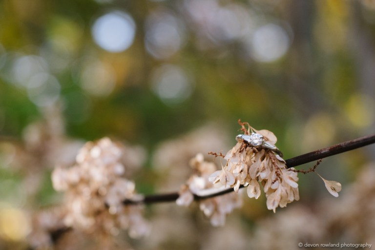 Devon Rowland Photography